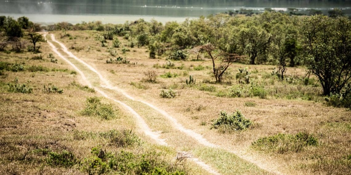 WRC regressa no ícone africano: Os horários e percurso do Rali Safari Quénia