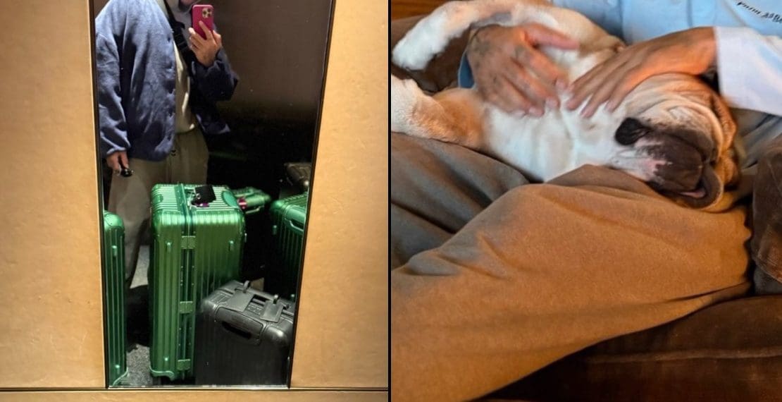 Lewis Hamilton Escapes to Winter Wonderland with Roscoe Before Ferrari Adventure