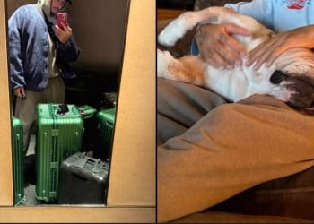 Lewis Hamilton Escapes to Winter Wonderland with Roscoe Before Ferrari Adventure