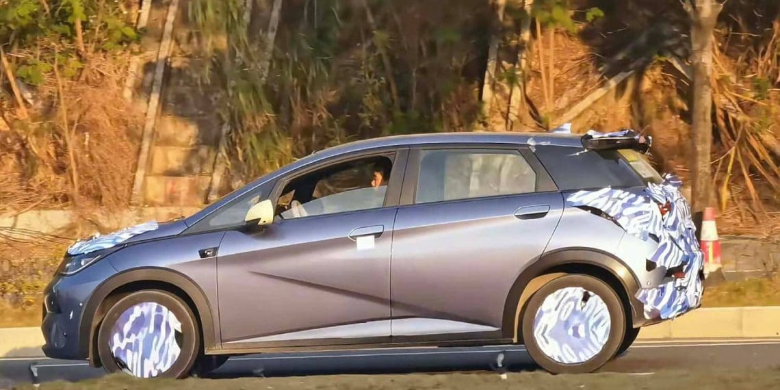 Renovado BYD Doplhin “apanhado” em testes