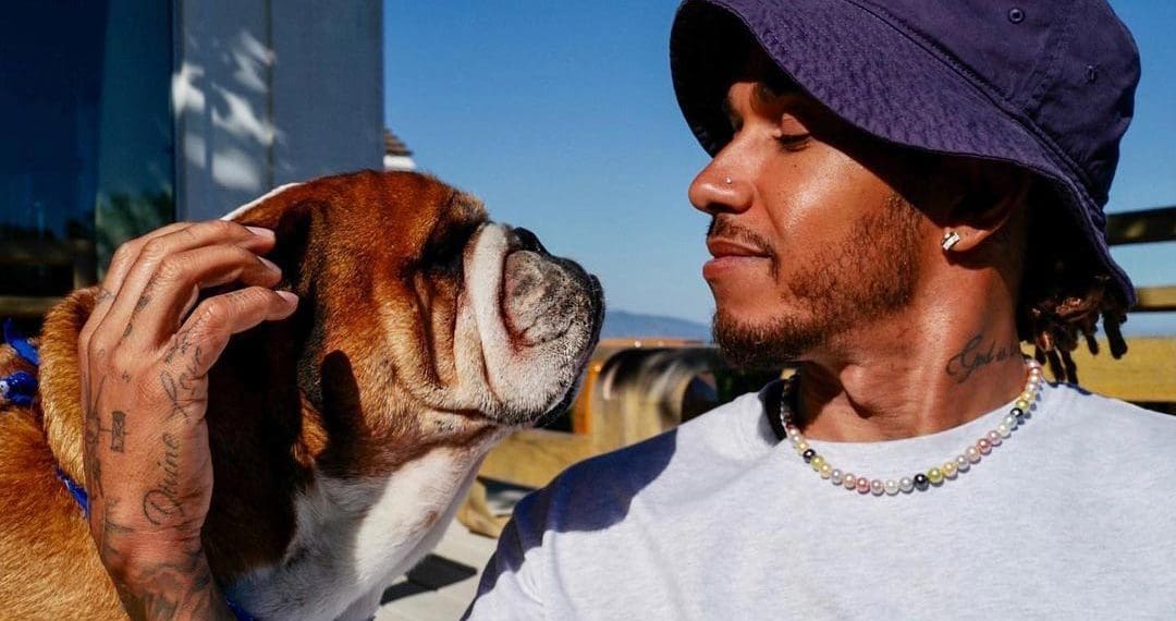 Max Verstappen’s Paw-ssionate Advice: F1 Paddock Too Stressful for Lewis Hamilton’s Roscoe