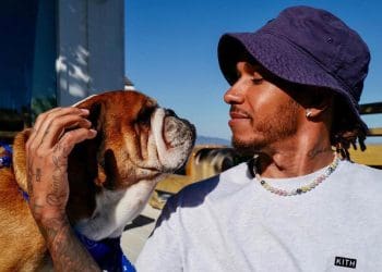 Max Verstappen’s Paw-ssionate Advice: F1 Paddock Too Stressful for Lewis Hamilton’s Roscoe