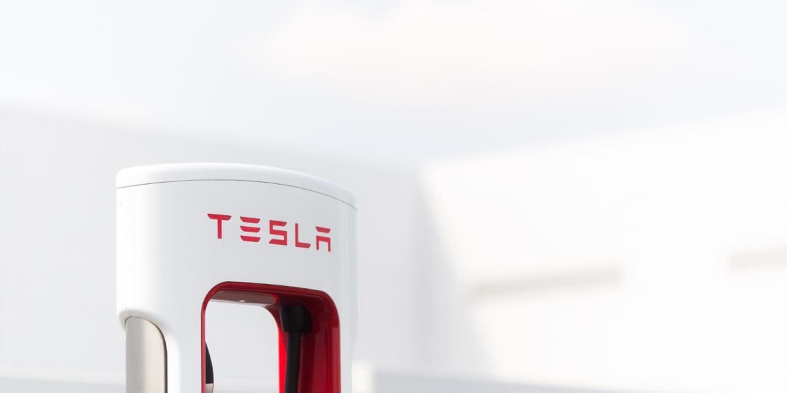 Tesla volta a confirmar a aposta em modelos de preço acessível já em 2025