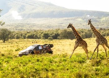 Unexpected Outcomes: Insights from the 2025 Safari Rally Kenya