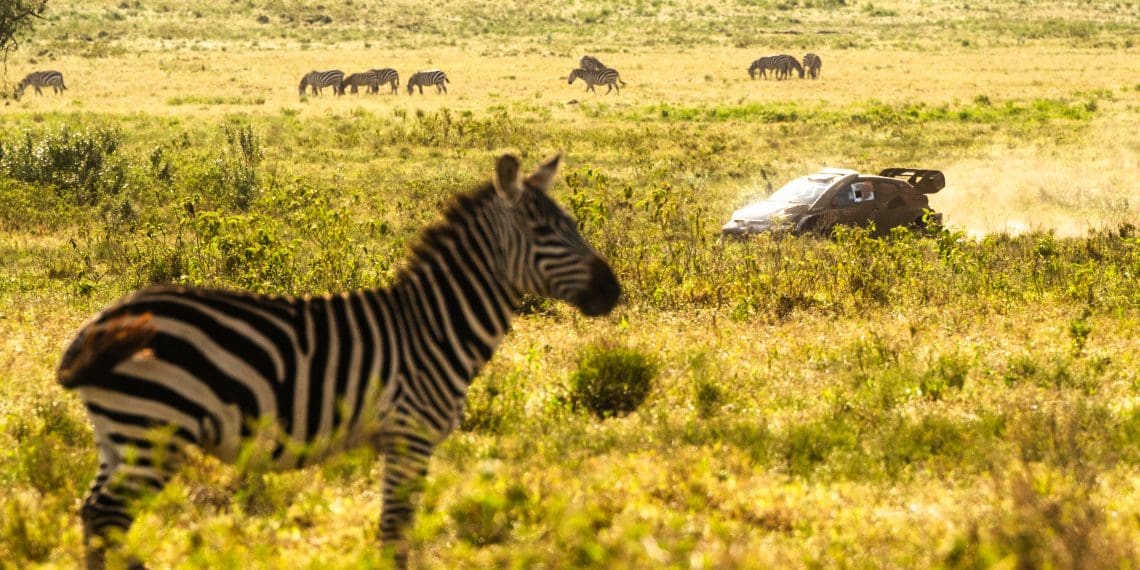 The Unstoppable Duo: Scott Martin Reveals Epic Safari Rally Triumph with Elfyn Evans