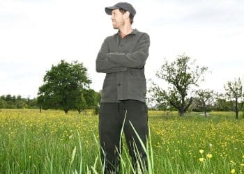 Sebastian Vettel Unleashes Ecological Fury: Bee Meadow Initiative Stuns the World