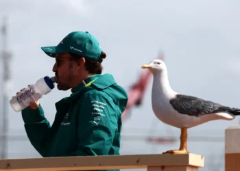 Fernando Alonso’s Retirement Dilemma: Will a Competitive Aston Martin Ignite His F1 Passion?