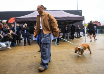 Lewis Hamilton’s Heart-Wrenching Plea: F1 Star Urges Prayers for Hospitalized Dog Roscoe
