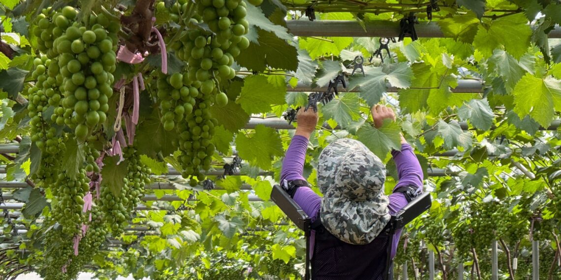Hyundai leva robô vestível da indústria automóvel para a agricultura