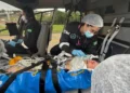 VIDEO – Horror Crash at Brazilian Grand Prix: Health Update on Racer Ethan Nobels Shocks Fans Worldwide