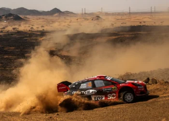 Martins Sesks fights for WRC future with M-Sport: can he secure a seat for 2026?