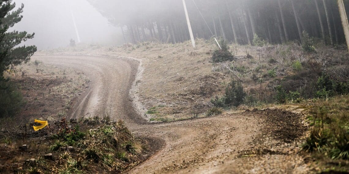 Primeiro «match point» no WRC é na América do Sul: Horários e percurso do Rali do Chile