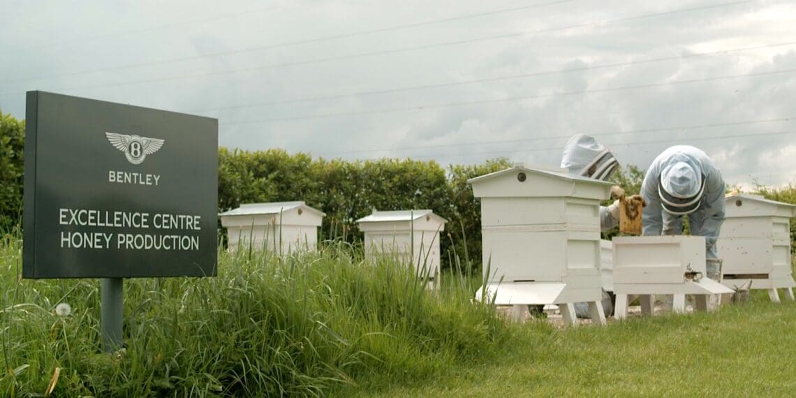 Bentley também produz mel em edição limitada