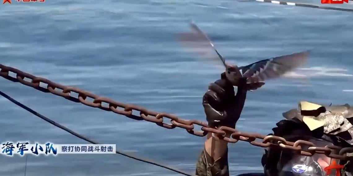 China Unveils Military Spy Drones Disguised as Birds