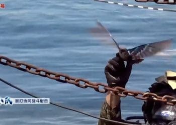 China Unveils Military Spy Drones Disguised as Birds