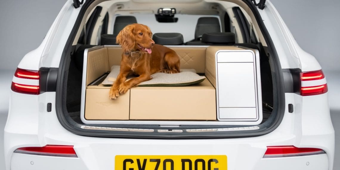 Genesis X Dog, o melhor amigo do cão