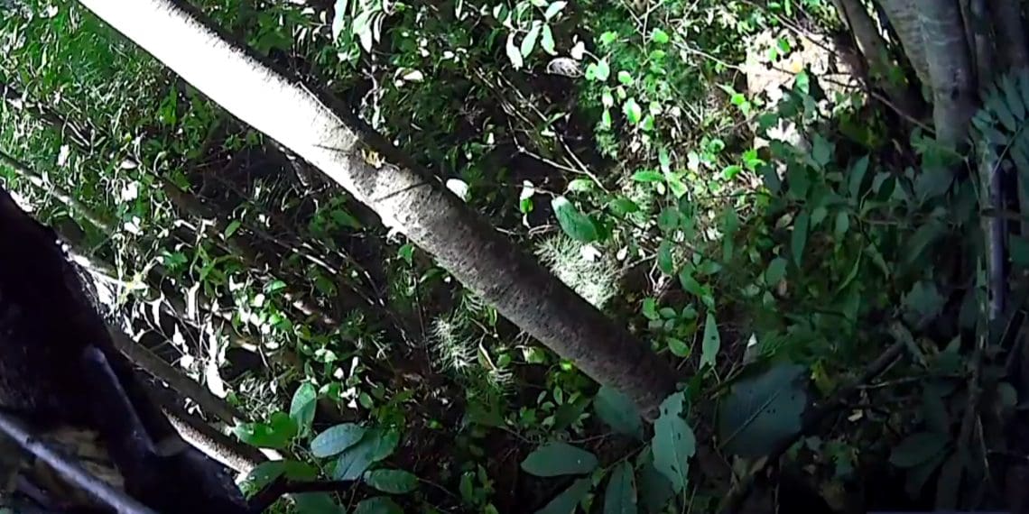 Rovanperä wrecks on second-to-last stage of Rally Finland