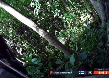 Rovanperä wrecks on second-to-last stage of Rally Finland