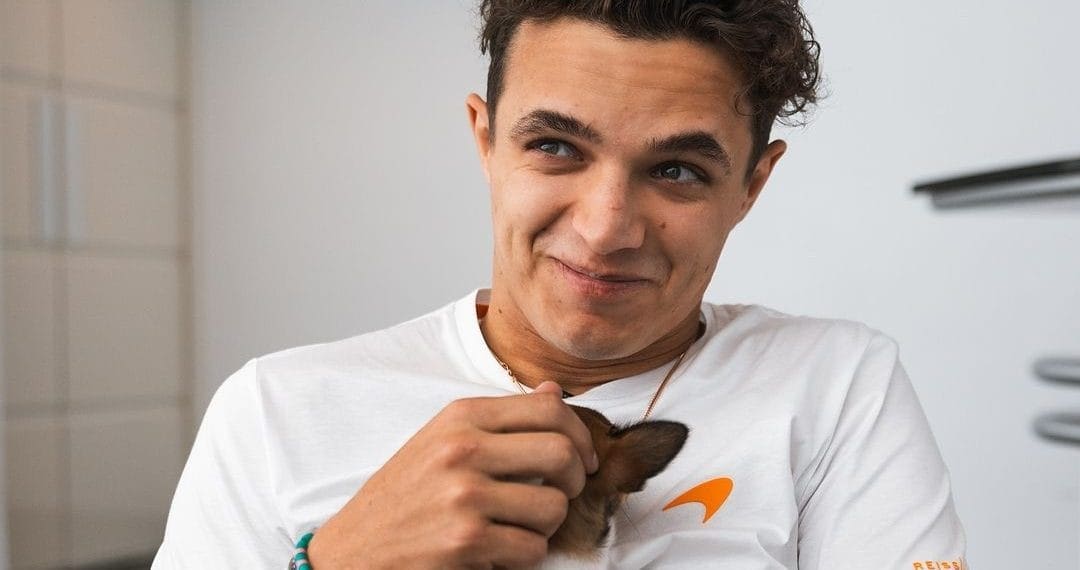 Lando Norris admits he must find a way to manage self-criticism following Guenther Steiner’s harsh comments