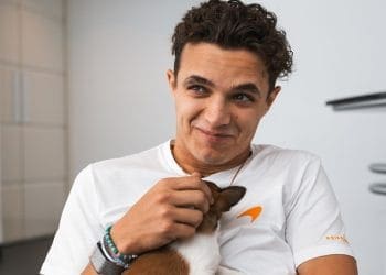 Lando Norris admits he must find a way to manage self-criticism following Guenther Steiner’s harsh comments