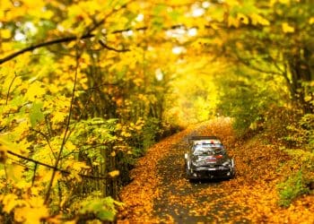 Sébastien Ogier Grabs Lead as Thierry Neuville Stumbles Twice in Central European Rally Chaos
