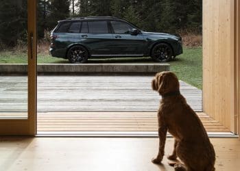 BMW X7 Poldo Dog Couture Edition, o melhor amigo do cão