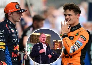Helmut Marko afirma que Lando Norris não consegue dirigir perfeitamente, ao contrário de Max Verstappen.