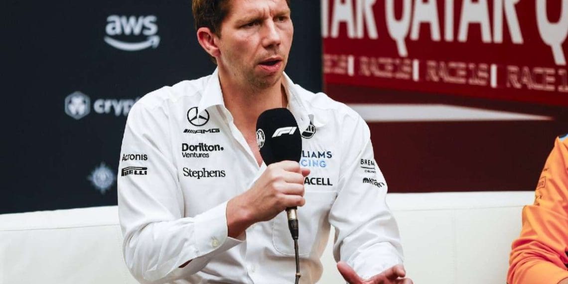 Ex-líder da equipe de Fórmula 1 afirma que Williams precisa de orientação após desastroso problema de chassi no Grande Prêmio da Austrália.