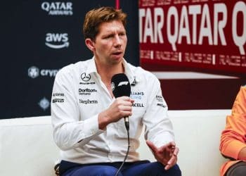 Ex-líder da equipe de Fórmula 1 afirma que Williams precisa de orientação após desastroso problema de chassi no Grande Prêmio da Austrália.