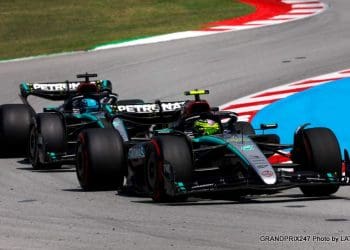 Wolff critica teóricos sem inteligência.