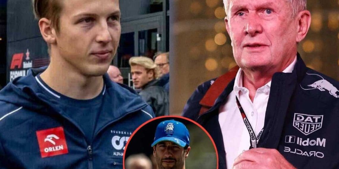 Liam Lawson irrita Helmut Marko antes de substituir o lesionado Daniel Ricciardo no GP da Holanda.