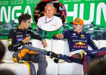 Helmut Marko considera parceria entre Red Bull e Max Verstappen com Lando Norris.