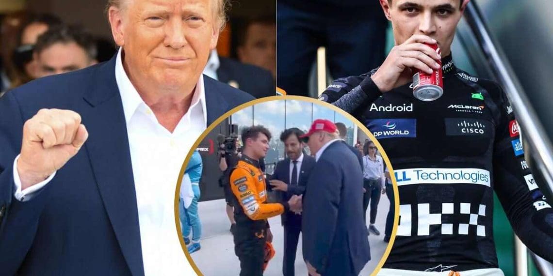 Ex-piloto da Red Bull sugere brincando que Donald Trump vai reivindicar crédito pela primeira vitória de Lando Norris na Fórmula 1 no Grande Prêmio de Miami.