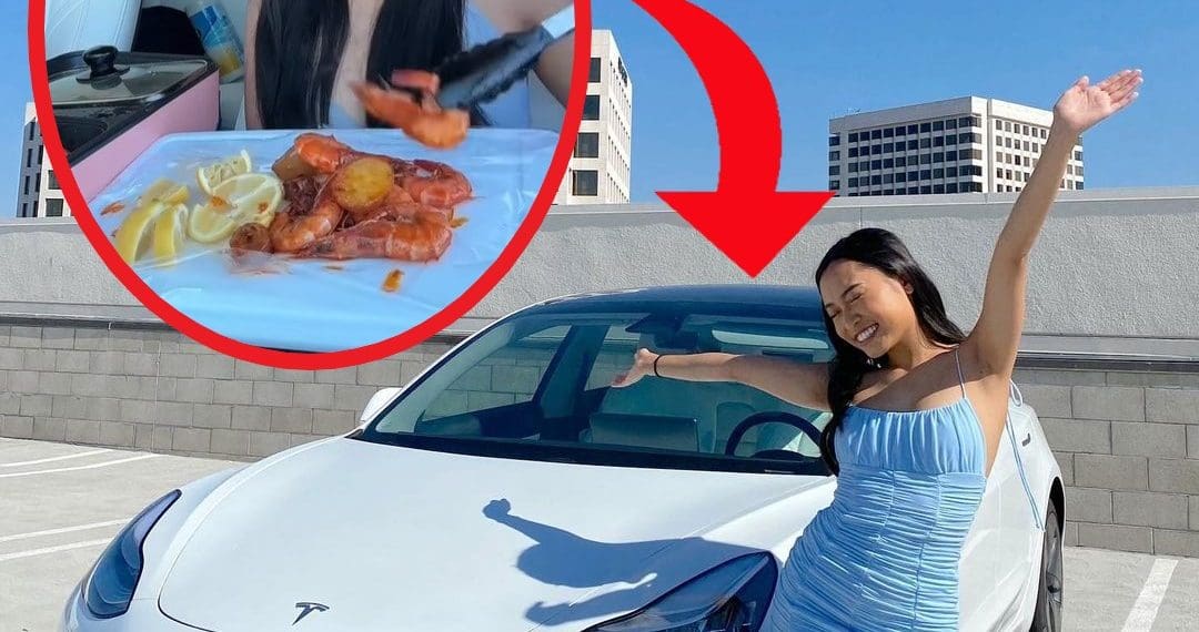 VIRAL TESLA MODEL 3 TURNED INTO A MOBILE KITCHEN IS PURE YUCK.
