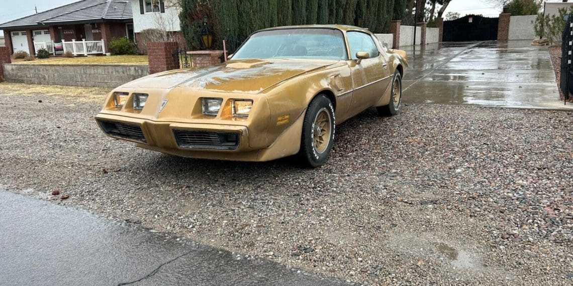 1979 Pontiac Trans Am Flaunts Factory V8 Muscle