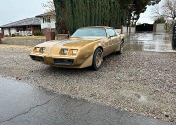 1979 Pontiac Trans Am Flaunts Factory V8 Muscle