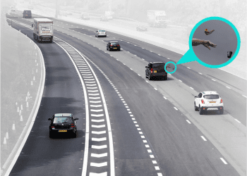 LitterCam: o radar que multa quem atira lixo pela janela do automóvel